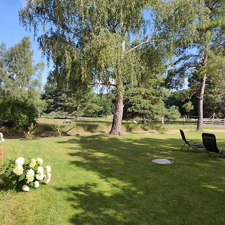 Apartamento Forsthaus Zartwitzer Hütte Rechlin Exterior foto